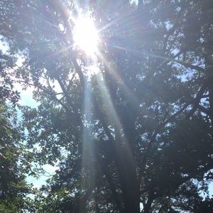 Meet your Posher, Josie